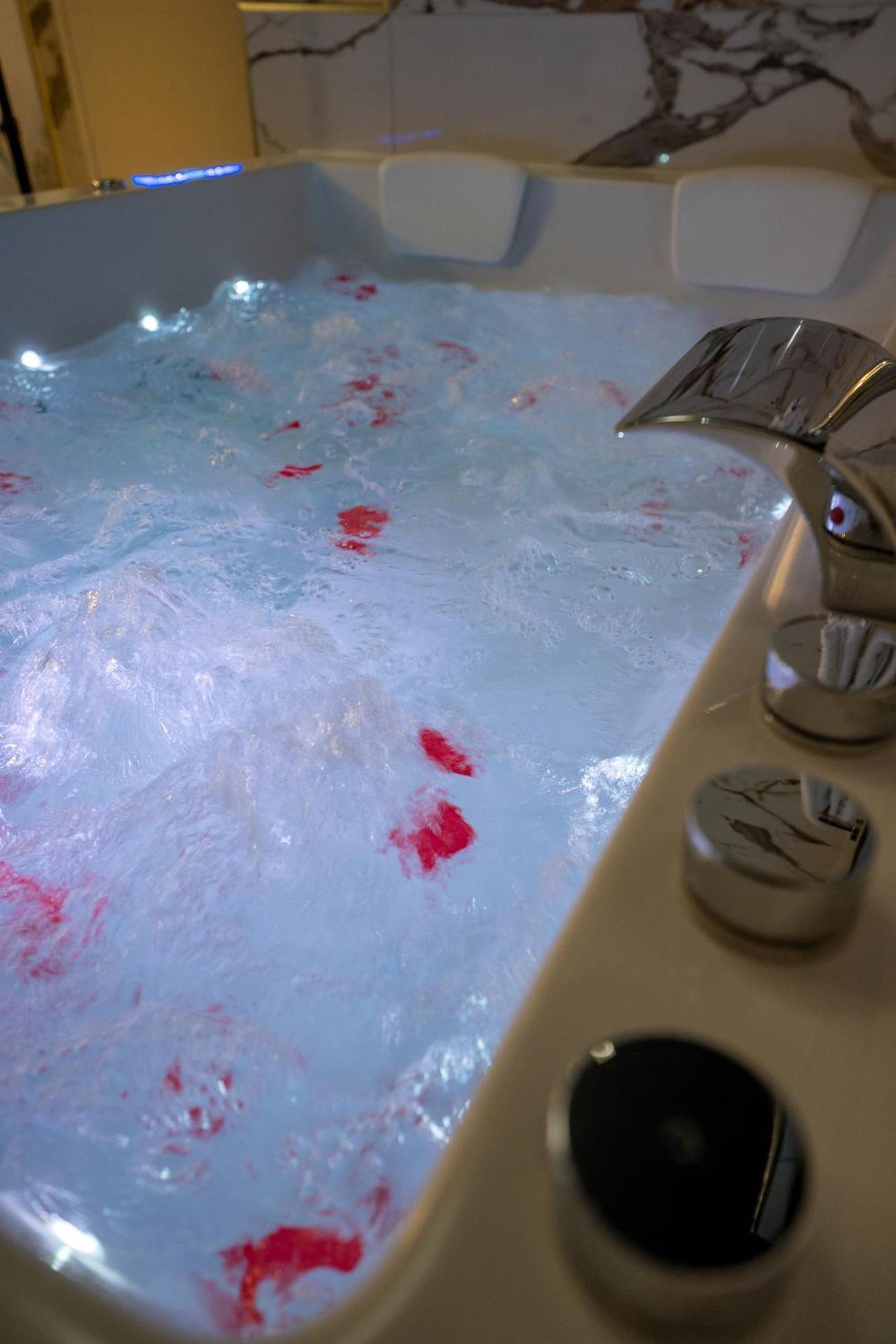 Appartement D'Exception Avec Jacuzzi 索恩河畔自由城 外观 照片